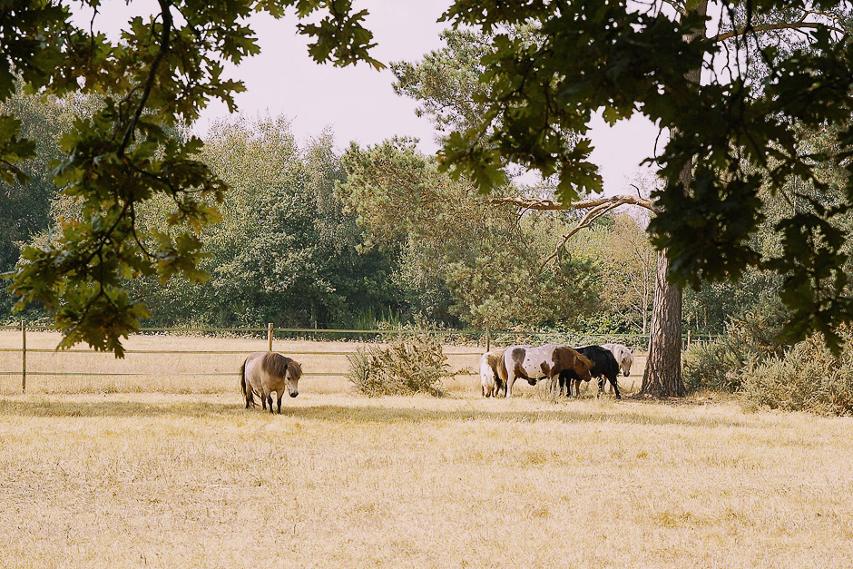 Country и village в чем разница